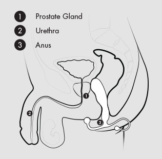 Stimulator Prostata Progasm Black Ice in SexShop KUR Romania