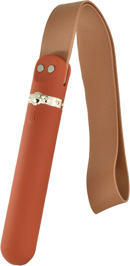 Spanking - Vibrator&Cravasa Rizey 9 Moduri Vibratii Silicon Maro USB Passion Labs, Erotic24.ro