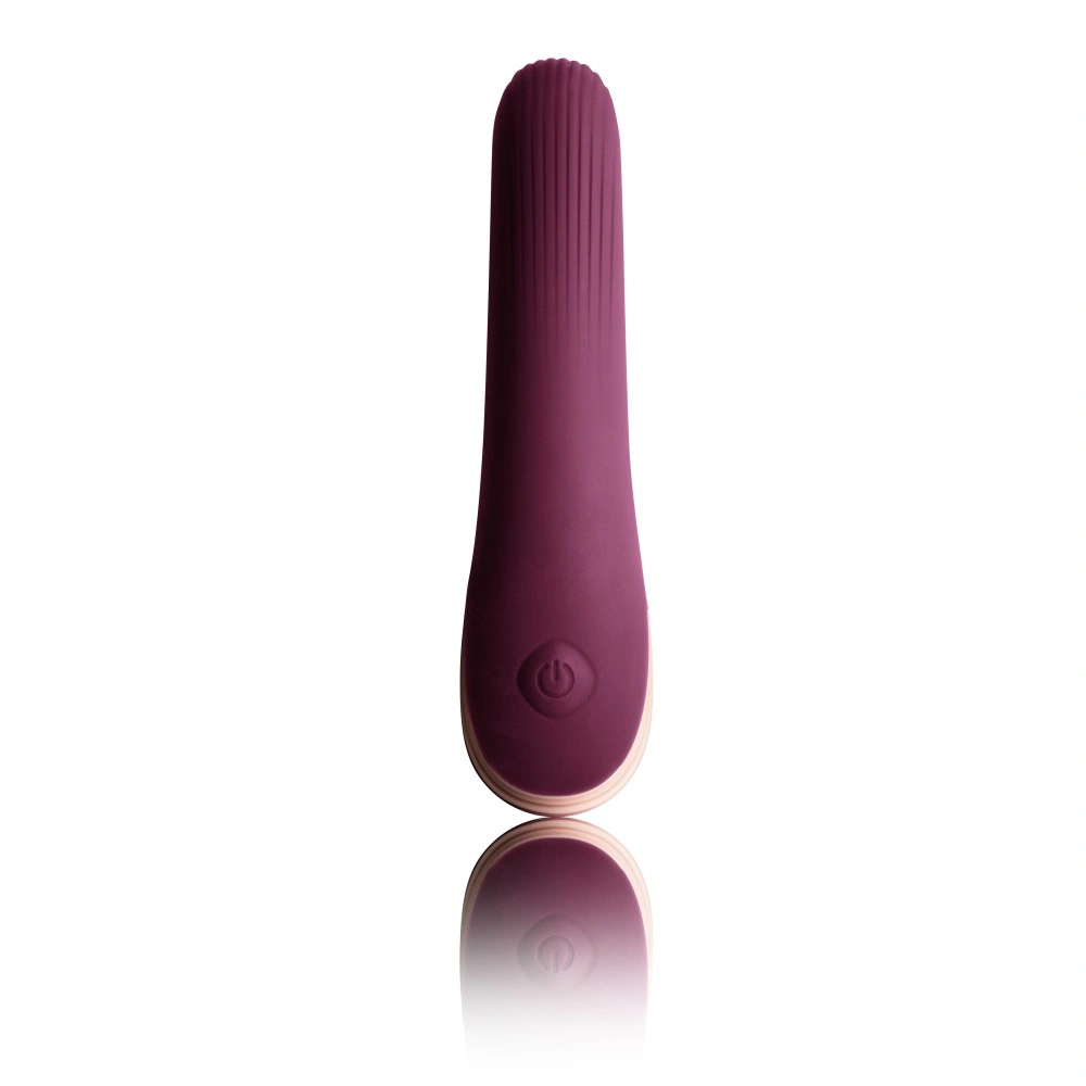 Vibratoare Clasice - Vibrator Climaximum Mia, 10 Moduri Vibratii, Silicon, Burgundy, USB, 14 cm, Erotic24.ro